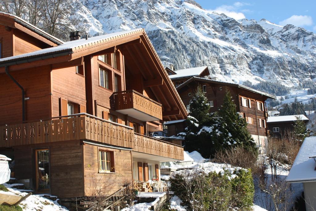 Chalet Protea Villa Wengen Exterior photo