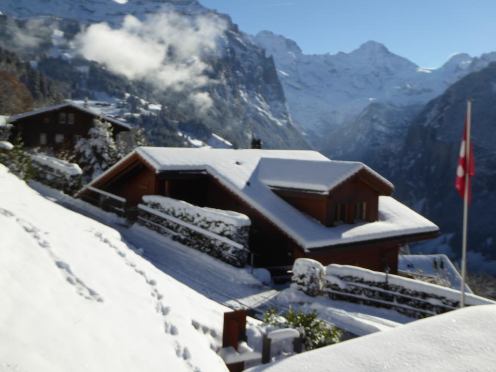 Chalet Protea Villa Wengen Exterior photo